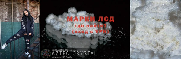 шишки Белокуриха