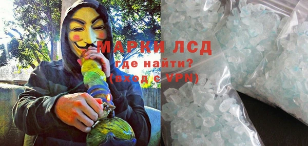 шишки Белокуриха